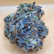 (5 STARS) Tuna *Gas* 💯🔥💣⛽️ 2 Oz for 250