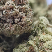(NEW) Summer Vibe (On Sale $100/Oz) 🔥  thumbnail 2