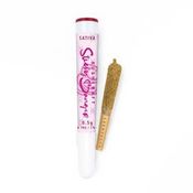 1 x 0.5g Infused Sticky Banger Pre-Roll Sativa Russian Cream Cotton Candy Permafrost by KushKraft