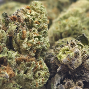 (NEW) White Slushie 🧉 ($65/Oz) 🔥