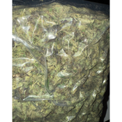 Budget friendly | Pink Gelato AAA 2 oz 109.99 | locally growing  thumbnail 2