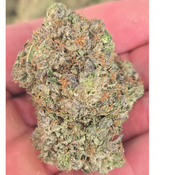 DUCT TAPE GAS 140oz 2for260 4for500 thumbnail 3