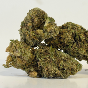 Blueberry Pancakes | Budget Buds | $70 an ounce | $100 for 2 ounces | $175 for 4 ounces | thumbnail 2