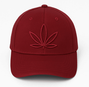 CAFE Maroon Dad Hat
