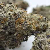 (NEW) Humble Pie 🥧  ($140/Oz) 🔥  thumbnail 2