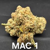 Mac 1 Indica Dominant