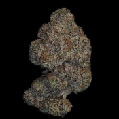 Blue Tuna 🍣 29-33% THC | INDICA | $110 an oz | $165 for 2 oz | thumbnail 2