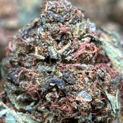 (28G) - Crazy Glue 🫨😮‍💨 Indica - 5Oz Bulk Deal for $200 thumbnail 3