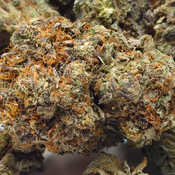 (New) Tropicana Banana 🍊 🍌 $125/Oz 🔥  thumbnail 3