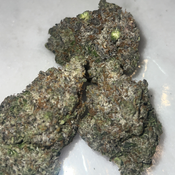 (NEW) LSO Pink Gas (AAAA+)