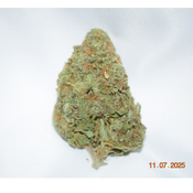 A.T.F. Sativa Dom Hybrid AAA 