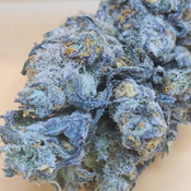 (5 STARS) Purple Gelato 💯🔥💣⛽️ 2 OZ FOR 250