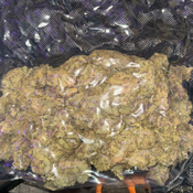 BLOWOUT SALE Durban Poison  4/oz $100 ‼️😱 thumbnail 4