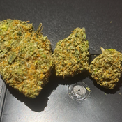 Gas Mask Bubba