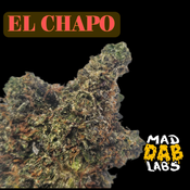 EL CHAPO - MAD DAB LABS🔥🔥🔥🔥🔥 