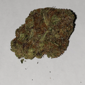 Alien Kush 👽🛸