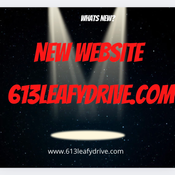 613leafydrive.com