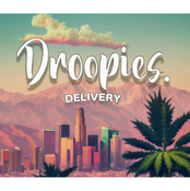 Droopies LLC