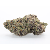 Purple Unicorn - AAAA