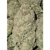 GAS MAC 120oz 2for220 4for420