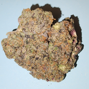 ? Pink Gas Tank Diesel – Greasy, Sticky, Ultra-Gassy Indica  thumbnail 2