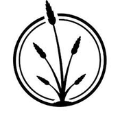 Dunegrass Co. - TC Downtown