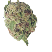 BC (AAA)  GREEN CRACK thumbnail 2