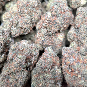  Astro Kush👽😮‍💨Indica thumbnail 2