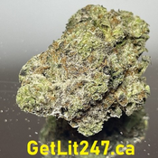 "Premium" White Truffle - Hybrid - THC 28-33%