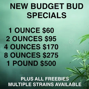 2 OZ $95 / 4 OZ $170 / 8 OZ $275 / 16 oz $500 - (2 KINGSIZE PREROLLS & 7g OF WEED (OR EDIBLE) FOR ORDERS $100+ / ORDERS UNDER $100 2 KINGSIZE PREROLLS