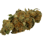AA Cannabis Bud