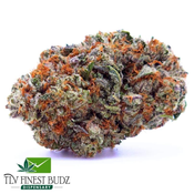 # Platinum Bubba[AAAA]