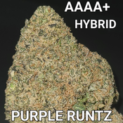 # NEW  5⭐ PURPLE RUNTZ (PURPLE AND STRONG HYBRID) AAAA ($75 OUNCE SALE) REG $200