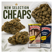 Canna-Corp-Canada.com 