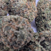 Dank ***** thumbnail 3