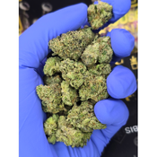Gorilla Gas LSO