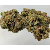 Comatose Kush OG AAAA