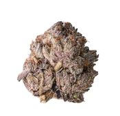 Hash Plant