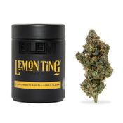 BLEM LEMON TING 3.5g