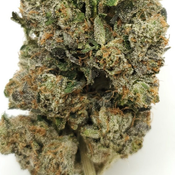 Pink Tuna