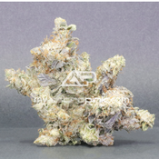 Lot #7653 One Hit Wonder