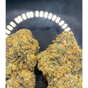 * NEW * Brownie Scout High Grade 