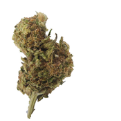 BC (AAA+) SLURRICRASHER