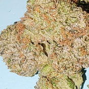 ? Pink Wagyu Smalls – $110 OZ thumbnail 2