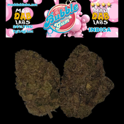 BUBBLE GUM 🔥🔥🔥🔥🔥