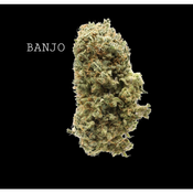 BANJO