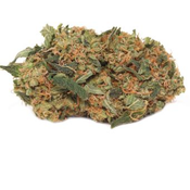 Pink Godzilla AAA+ (80 0z 0r 2 for 125) thumbnail 1