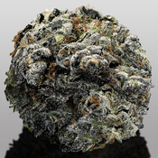 !! HAN SOLO BURGER 39%THC *SUPER EXOTICS* EXOTICS $200/OZ (2OZ$400) 
