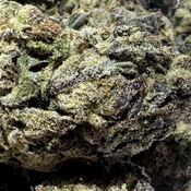 (NEW) High Society $65/Oz 🔥  thumbnail 2