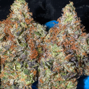 [NEW] Crystal Pink AAAA+ *OZ 160 2OZ 290*